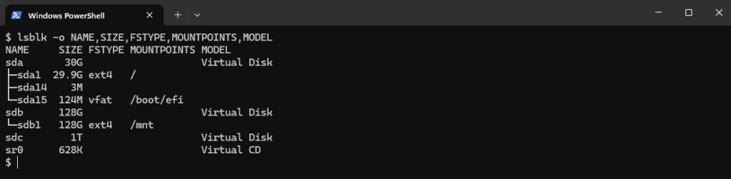 Sortie de lsblk montrant sda de 30 Go, sdb de 128 Go monté sur /mnt et sdc de 1 To vierge